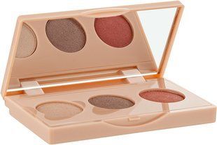 Палетка тіней для повік 05 Vintage Season Make Up Farmasi 1301365 фото